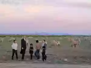 קינדער פון קאסא גראנדע באזוכן ביי די שעפעלעך וואס פאשען אין די פעלדער פון קאסא גראנדע דארט ווי דער עולם גייט כסדר אדורך